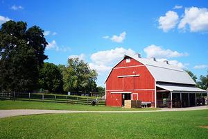 Farm Tour